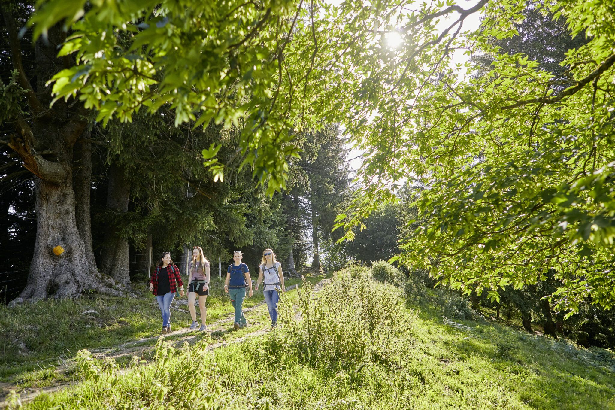 Wanderung Schüpferegg